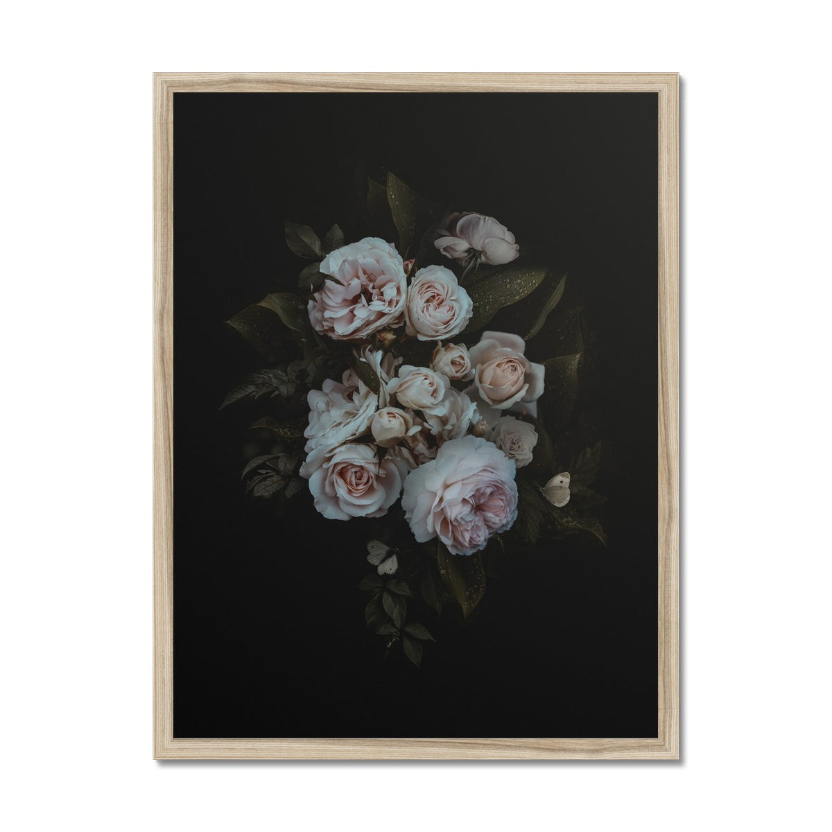 Midnight Grace | Framed Print