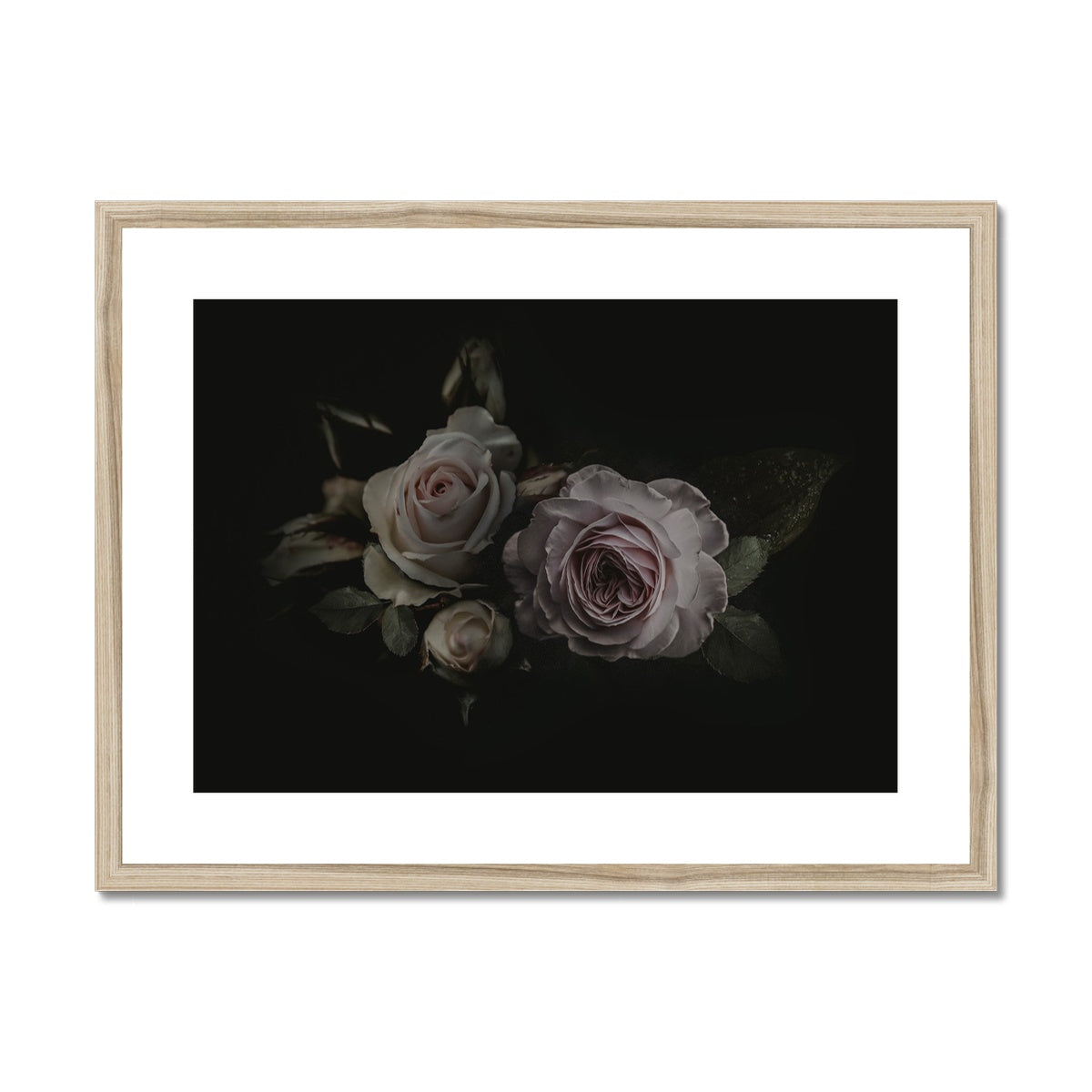 Shadowed Warmth | Framed & Matted Print