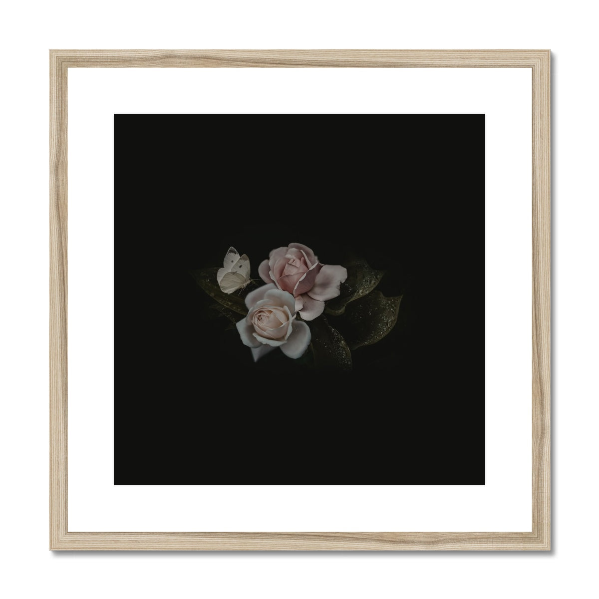 Reticent Growth | Framed & Matted Print