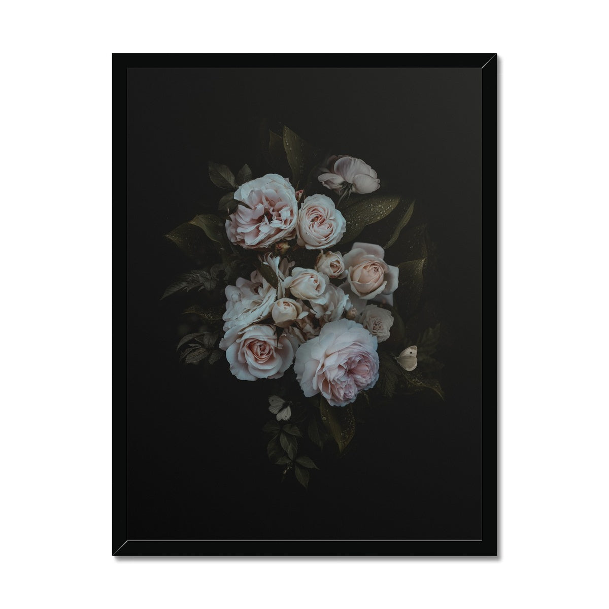 Midnight Grace | Framed Print