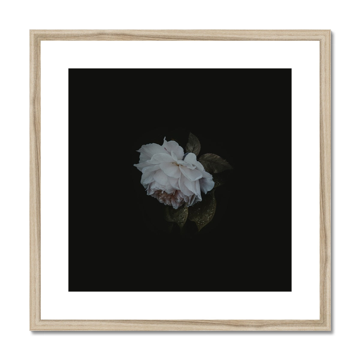 Fallen Heart | Framed & Matted Print