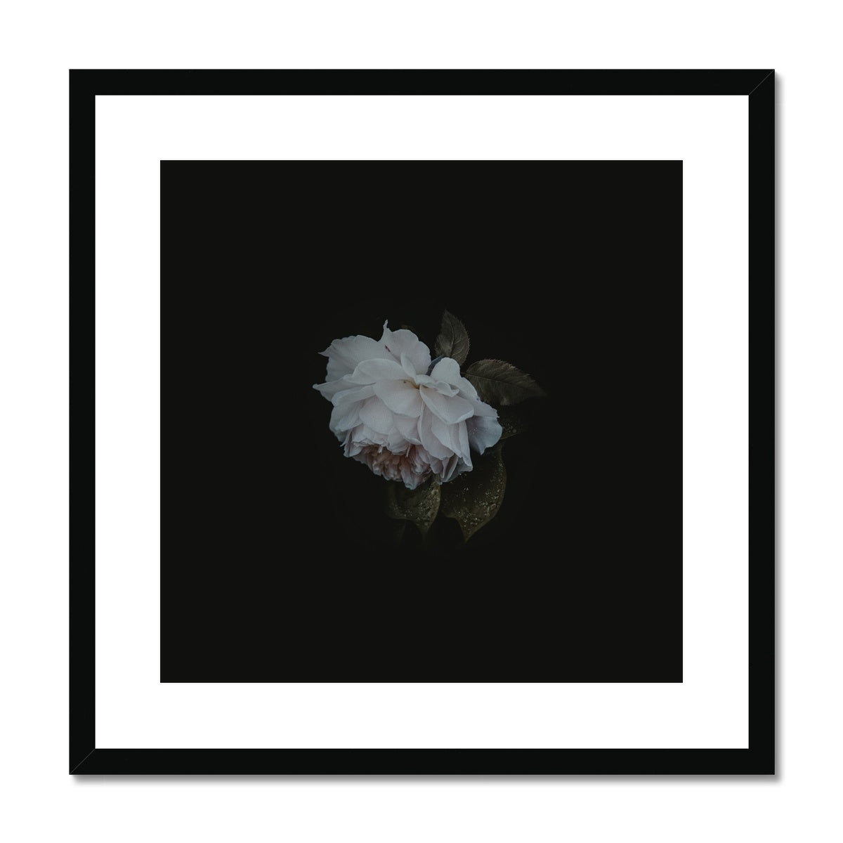 Fallen Heart | Framed & Matted Print