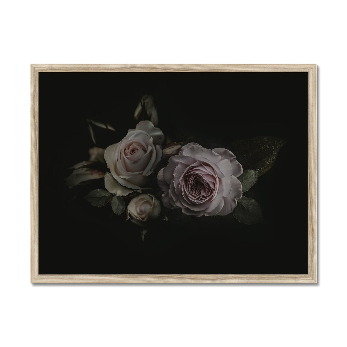 Shadowed Warmth | Framed Print