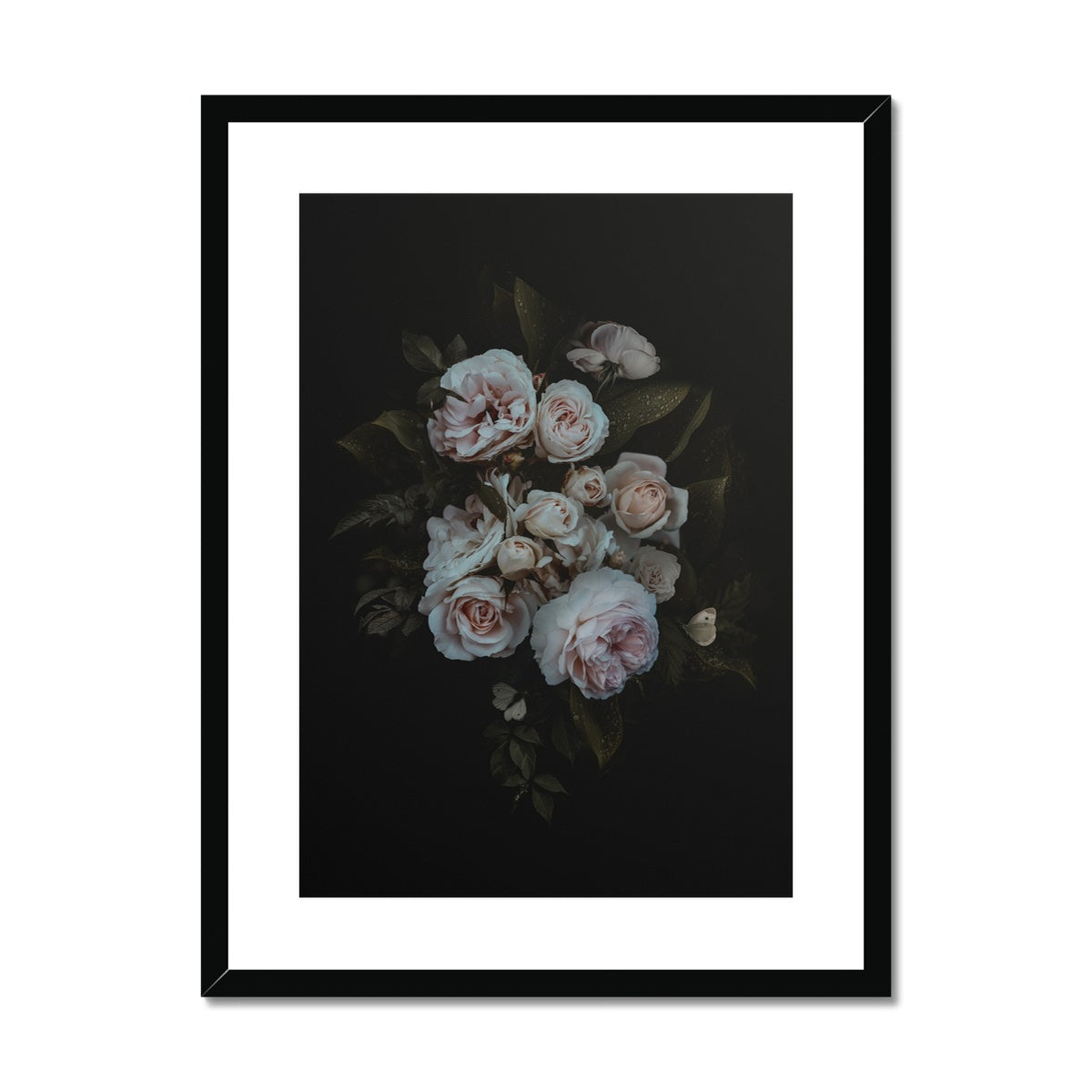 Midnight Grace | Framed & Matted Print