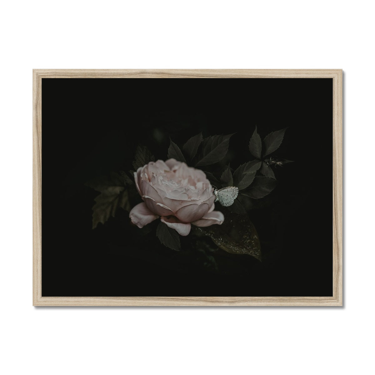 Silent Bloom | Framed Print