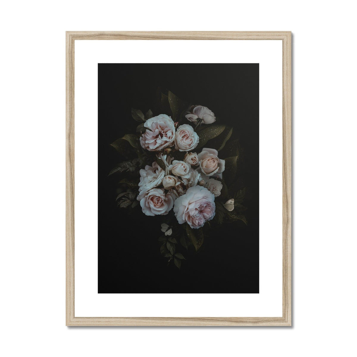 Midnight Grace | Framed & Matted Print