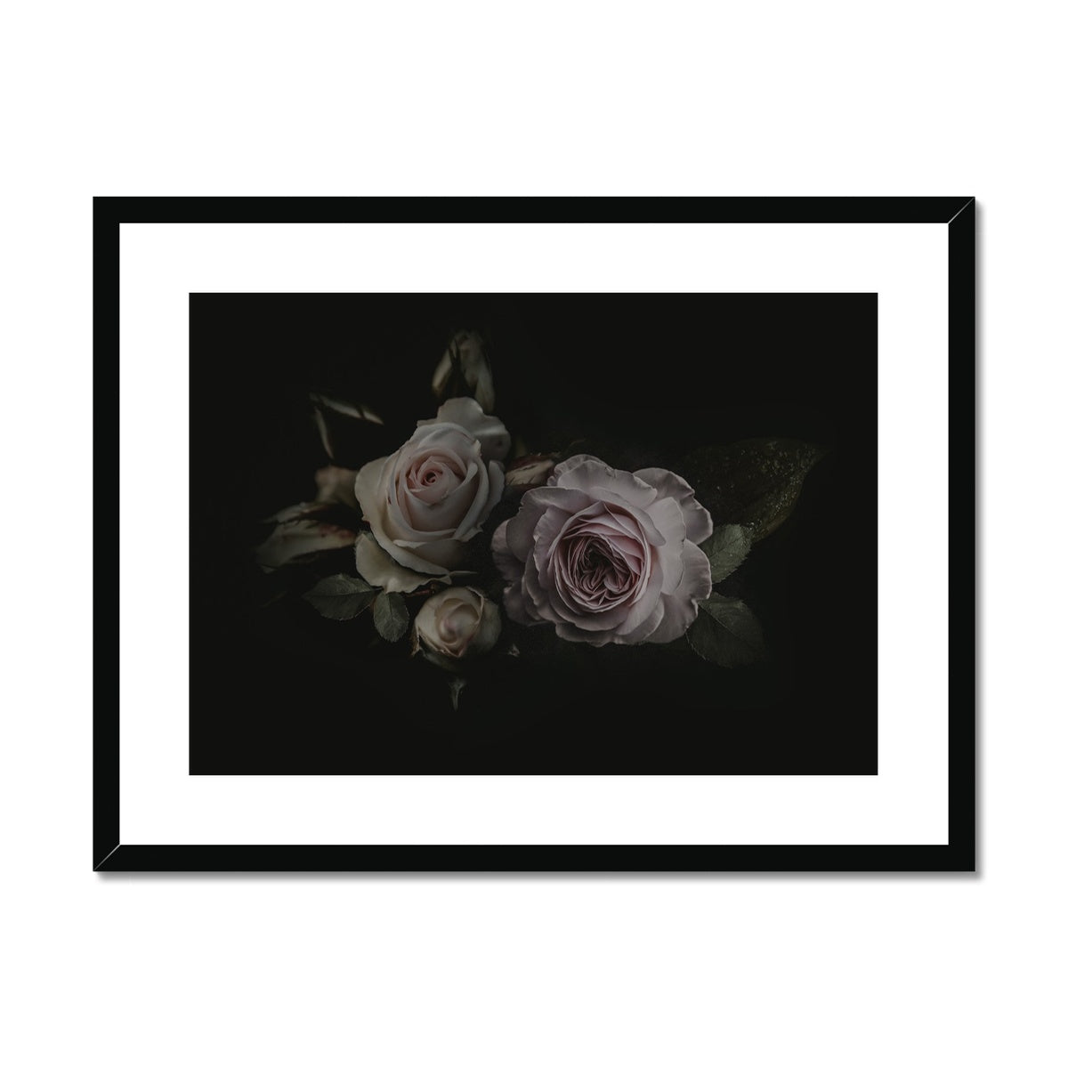 Shadowed Warmth | Framed & Matted Print