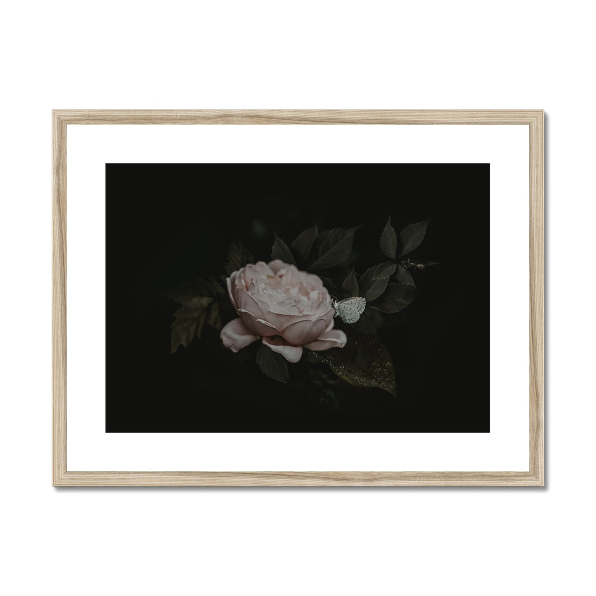 Silent Bloom | Framed & Matted Print